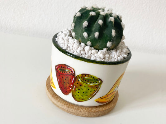 Vasetto di Sicilia - Fichi d'India