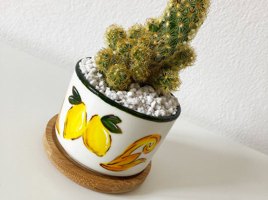 Vasetto di Sicilia - Limoni